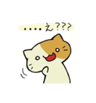ネコとカエルのスタンプ（個別スタンプ：34）