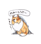 岡山弁 犬（個別スタンプ：9）