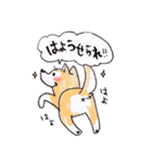 岡山弁 犬（個別スタンプ：11）