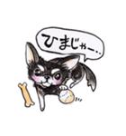 岡山弁 犬（個別スタンプ：19）