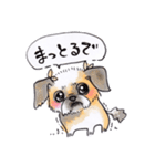 岡山弁 犬（個別スタンプ：20）