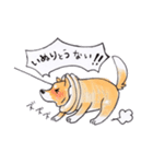 岡山弁 犬（個別スタンプ：23）