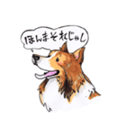 岡山弁 犬（個別スタンプ：26）