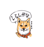 岡山弁 犬（個別スタンプ：28）