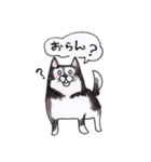 岡山弁 犬（個別スタンプ：30）
