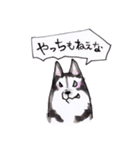 岡山弁 犬（個別スタンプ：31）