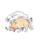 岡山弁 犬（個別スタンプ：34）