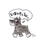 岡山弁 犬（個別スタンプ：36）