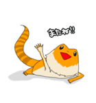 フトアゴヒゲトカゲのスタンプ2（個別スタンプ：12）