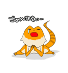 フトアゴヒゲトカゲのスタンプ2（個別スタンプ：20）