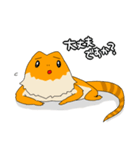 フトアゴヒゲトカゲのスタンプ2（個別スタンプ：37）