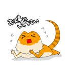 フトアゴヒゲトカゲのスタンプ2（個別スタンプ：38）