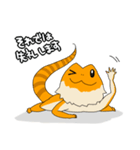 フトアゴヒゲトカゲのスタンプ2（個別スタンプ：40）