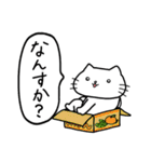 ゴキゲンねこ2（個別スタンプ：1）