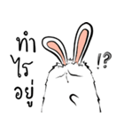 The Fluffy Fatty Rabbit（個別スタンプ：23）