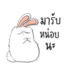 The Fluffy Fatty Rabbit（個別スタンプ：27）