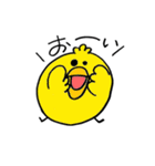 ぴょちゃん（個別スタンプ：1）