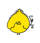 ぴょちゃん（個別スタンプ：30）