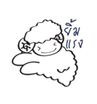 wasabi...cheeky sheep（個別スタンプ：25）