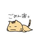 にゃん汰【日常系】（個別スタンプ：3）