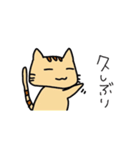 にゃん汰【日常系】（個別スタンプ：11）