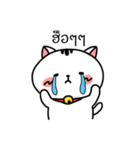 Cute Fat Cat（個別スタンプ：30）