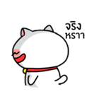 Cute Fat Cat（個別スタンプ：34）