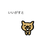 豆柴とケセン語（個別スタンプ：13）