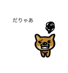 豆柴とケセン語（個別スタンプ：16）