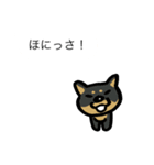 豆柴とケセン語（個別スタンプ：31）