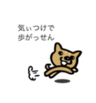 豆柴とケセン語（個別スタンプ：36）