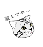 びすたんぷ（個別スタンプ：1）