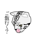 びすたんぷ（個別スタンプ：2）