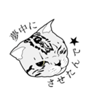 びすたんぷ（個別スタンプ：3）