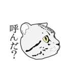びすたんぷ（個別スタンプ：4）