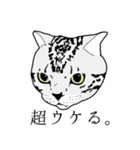 びすたんぷ（個別スタンプ：5）