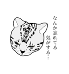びすたんぷ（個別スタンプ：8）