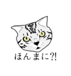 びすたんぷ（個別スタンプ：9）