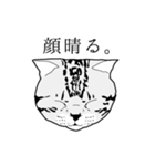 びすたんぷ（個別スタンプ：14）
