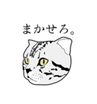 びすたんぷ（個別スタンプ：17）
