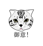 びすたんぷ（個別スタンプ：18）