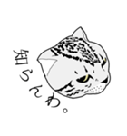 びすたんぷ（個別スタンプ：19）