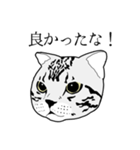 びすたんぷ（個別スタンプ：22）