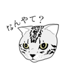 びすたんぷ（個別スタンプ：23）