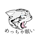 びすたんぷ（個別スタンプ：25）