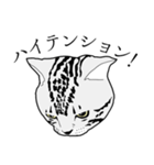 びすたんぷ（個別スタンプ：27）