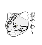 びすたんぷ（個別スタンプ：29）