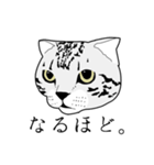 びすたんぷ（個別スタンプ：32）