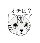 びすたんぷ（個別スタンプ：36）