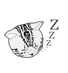 びすたんぷ（個別スタンプ：37）